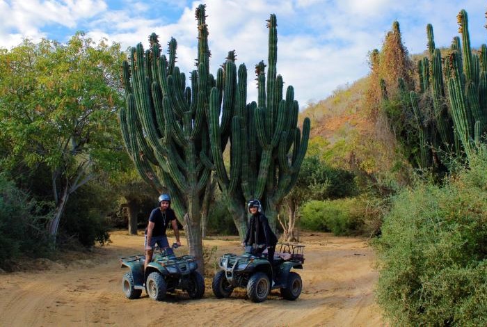 Combo Extreme Adventure: ATV + Horseback Riding